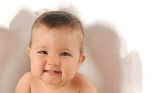glad bebis
