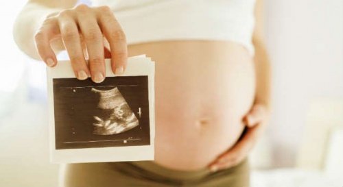 gravid med bild