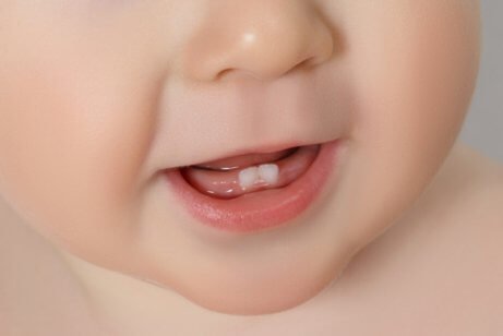 Bebisens första tänder: allt du behöver veta
