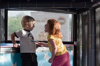 Få stopp på skrikandet mellan familjemedlemmar.