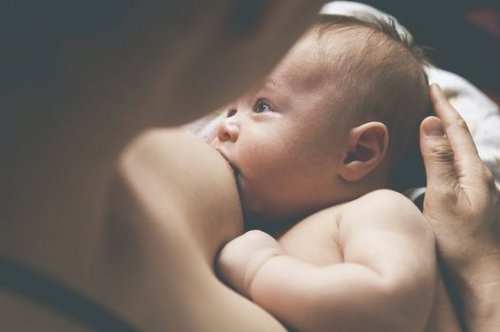 Bebis som ammar