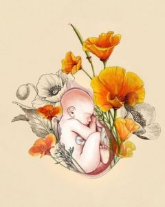 Jag har älskat dig sedan ditt första hjärtslag