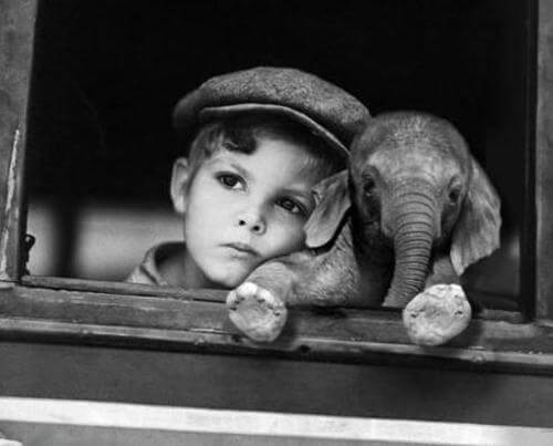 Pojke med elefant.