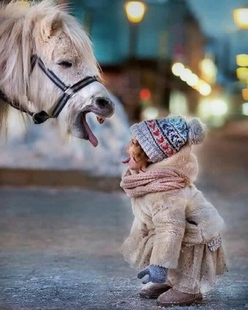 Flicka och häst.