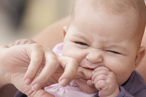 Bebis stoppar in förälderns finger i munnen.