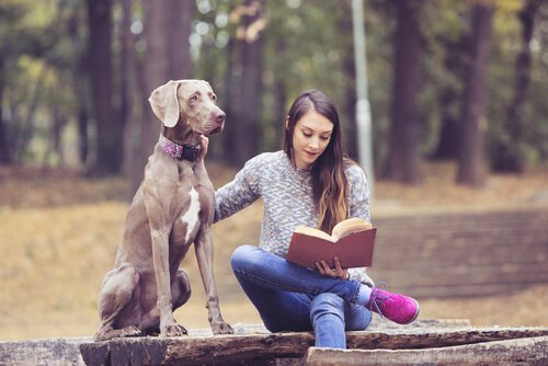 En tonåring med en hund läser en bok