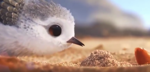 Snäppan