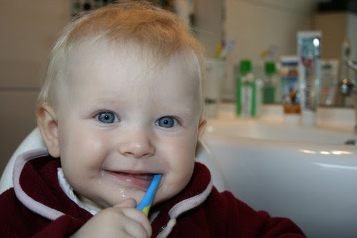 Baby borstar första tand
