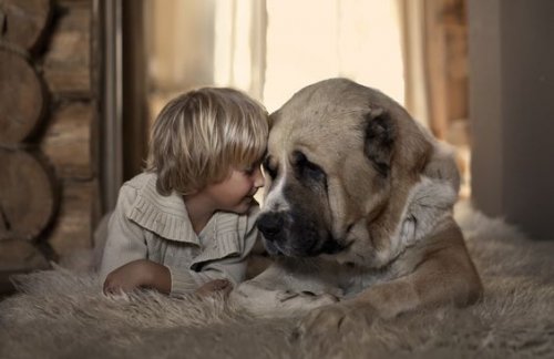 Barn och hund