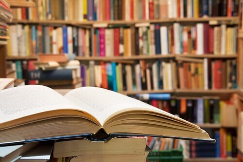 Bibliotekens pedagogiska värde ska inte underskattas.