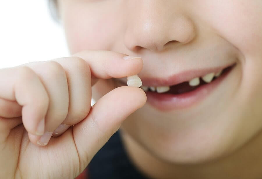 fallskärm Hemlighet transparent när tappar barn sina tänder