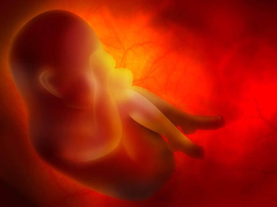 foster i livmodern