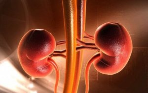 Njurcancer hos barn: Symptom och orsaker