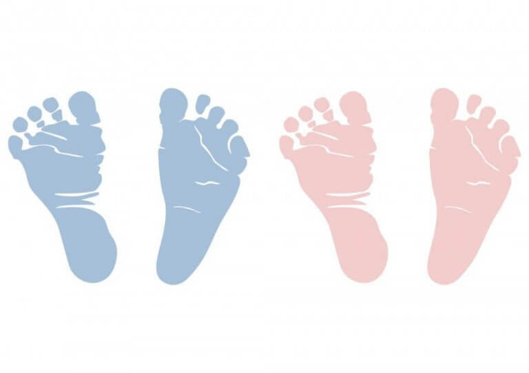 blå och rosa fotavtryck av baby