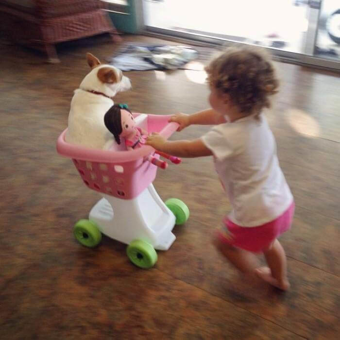 litet barn kör hund i leksakskundvagn