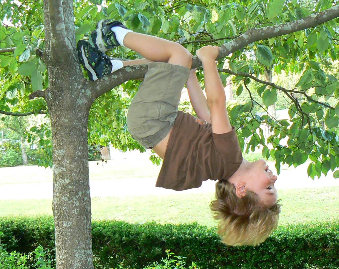 barn klättrar i träd