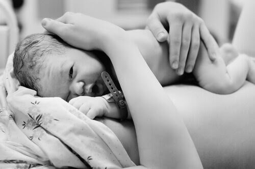 Nyfödd bebis efter förlossningen på mammas mage
