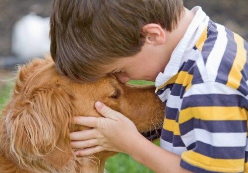 5 fördelar med husdjur i familjen