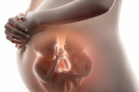 Tvillingar i en gravid kvinnas mage.