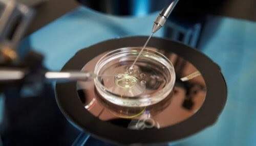 Konstgjord insemination