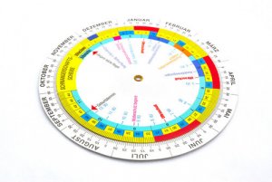 Hur du beräknar vilken graviditetsvecka du är i