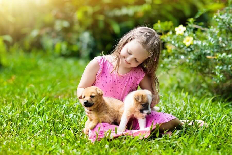 husdjur för barn: barn med två hundvalpar
