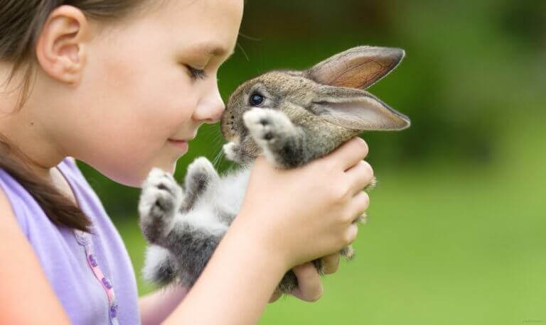 barn med kanin