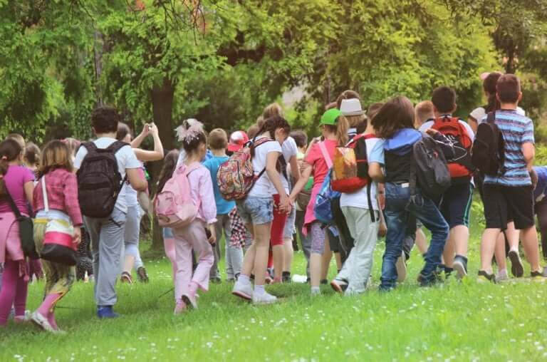 olyckor på skolutflykter: barn på utflykt i skogen
