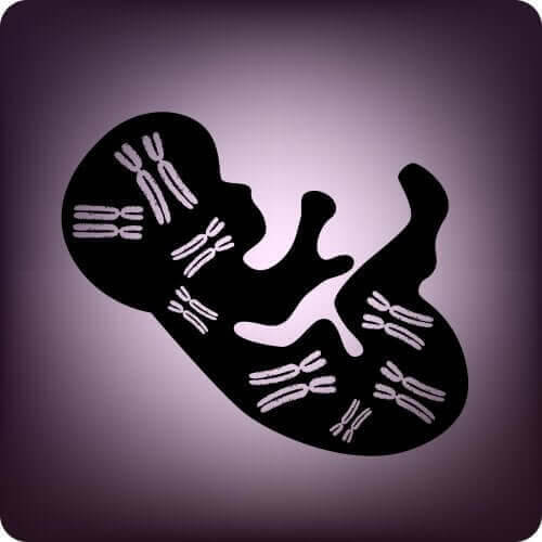 Genetisk fosterdiagnostik: Vad är NIPT?