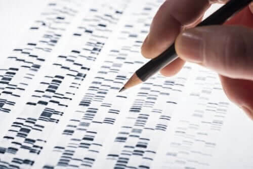 NIPT: resultat av DNA-sekvensering