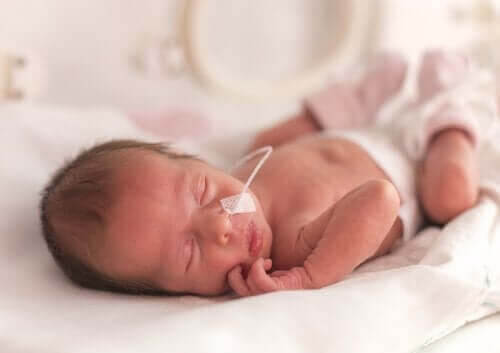 för tidigt födda barn: liten baby i kuvös