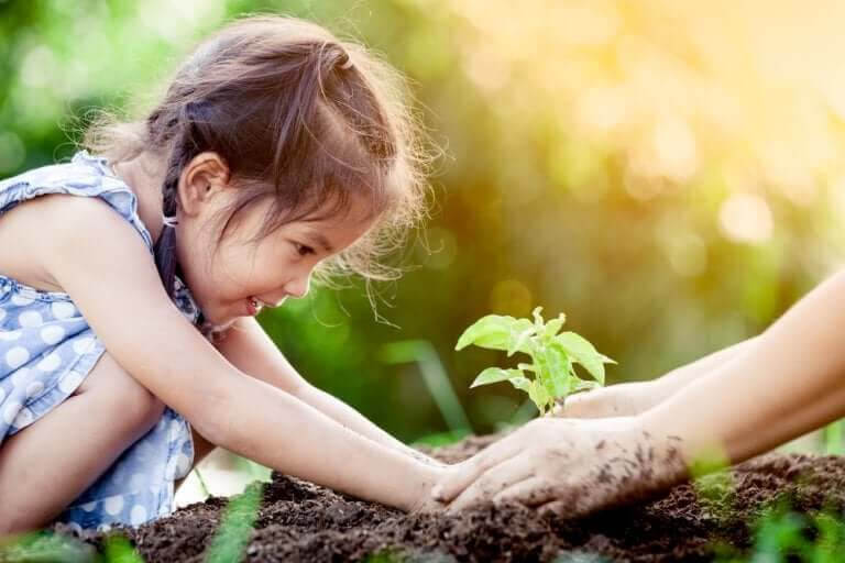 empirisk inlärning: barn planterar planta