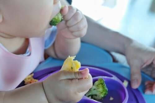 BLW: baby äter broccoli