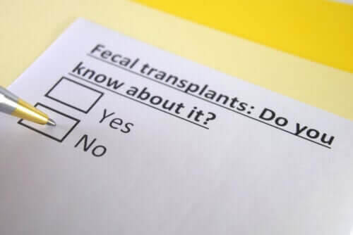 fekal transplantation