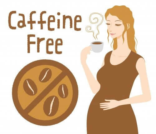 koffein under graviditeten