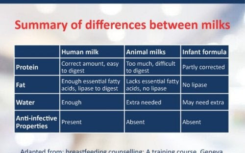 väljer du modersmjölksersättning: jämförelse mellan bröstmjölk, djurmjölk och ersättning