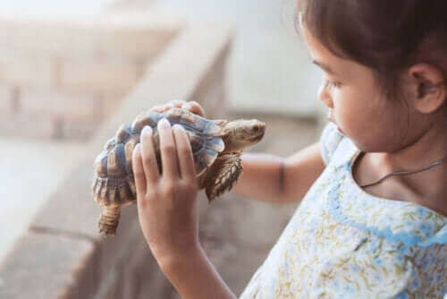 Flicka med sköldpadda