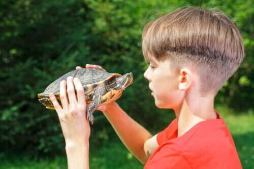 Sköldpaddsmetodens effekter på självkänslan