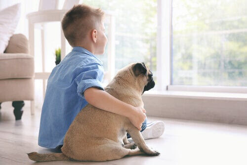 Hur kan terapidjur hjälpa barn?