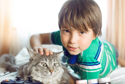 terapidjur hjälpa barn: pojke med katt