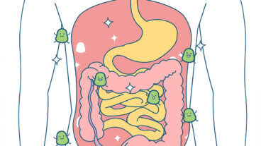 Vad är en fekal transplantation?