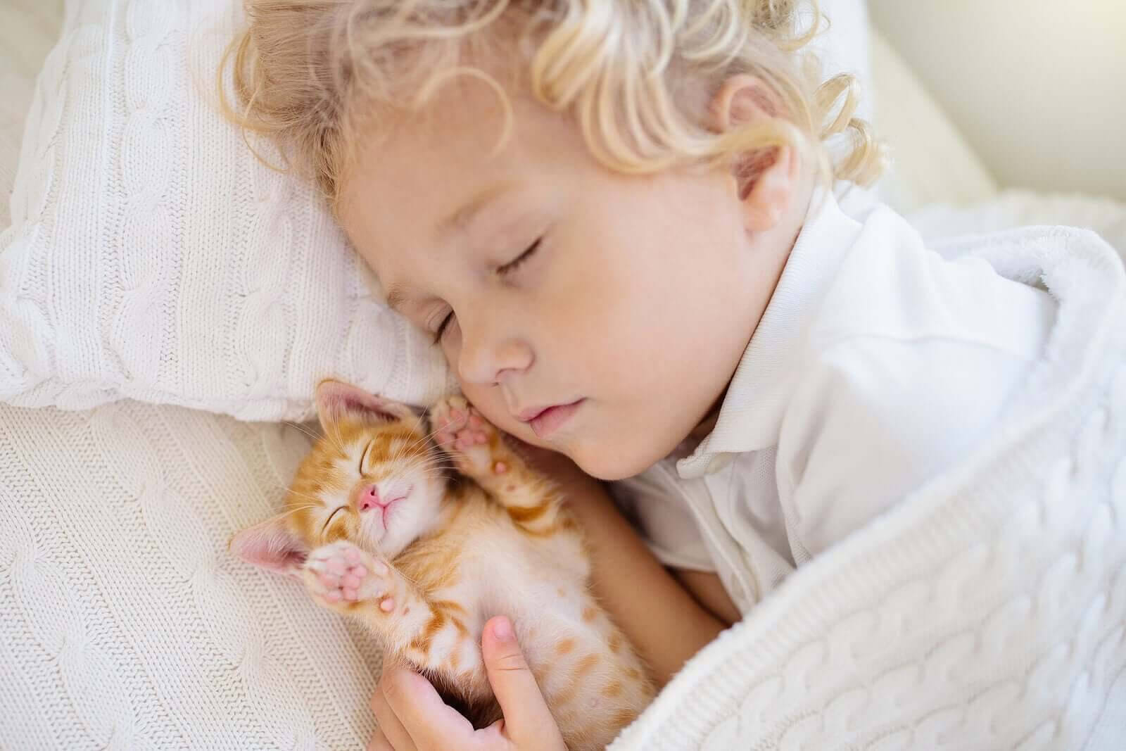 Barns sömnmönster: barn och kattunge sover