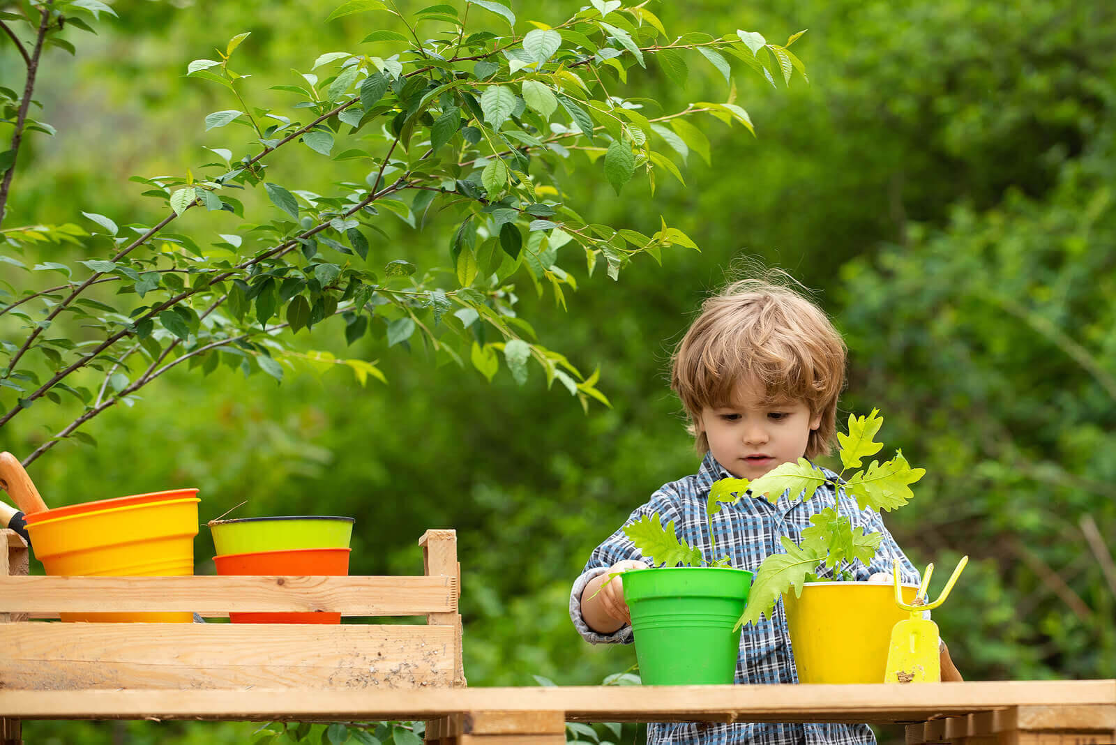 aktiviteter för miljömedvetenhet: pojke planterar träd