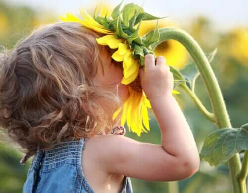 kan älska sig själva: barn luktar på solros