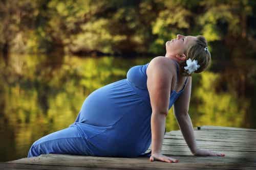 din baby gör i livmodern: gravid kvinna