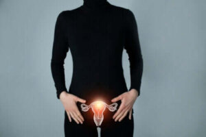 Hur fungerar äggledarna?