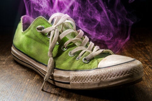 10 huskurer för att eliminera fotlukt