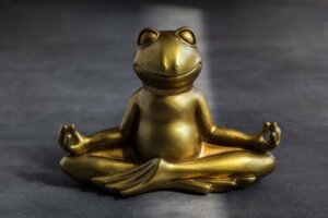 Grodtekniken: en övning för barns självkontroll