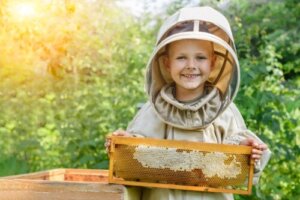 4 fördelar med honung för barn