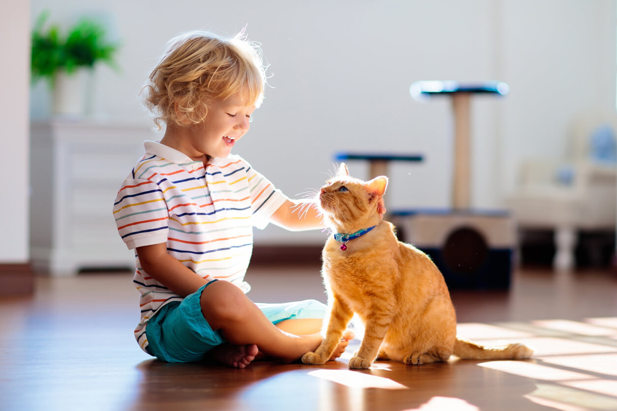 barn som leker med en katt